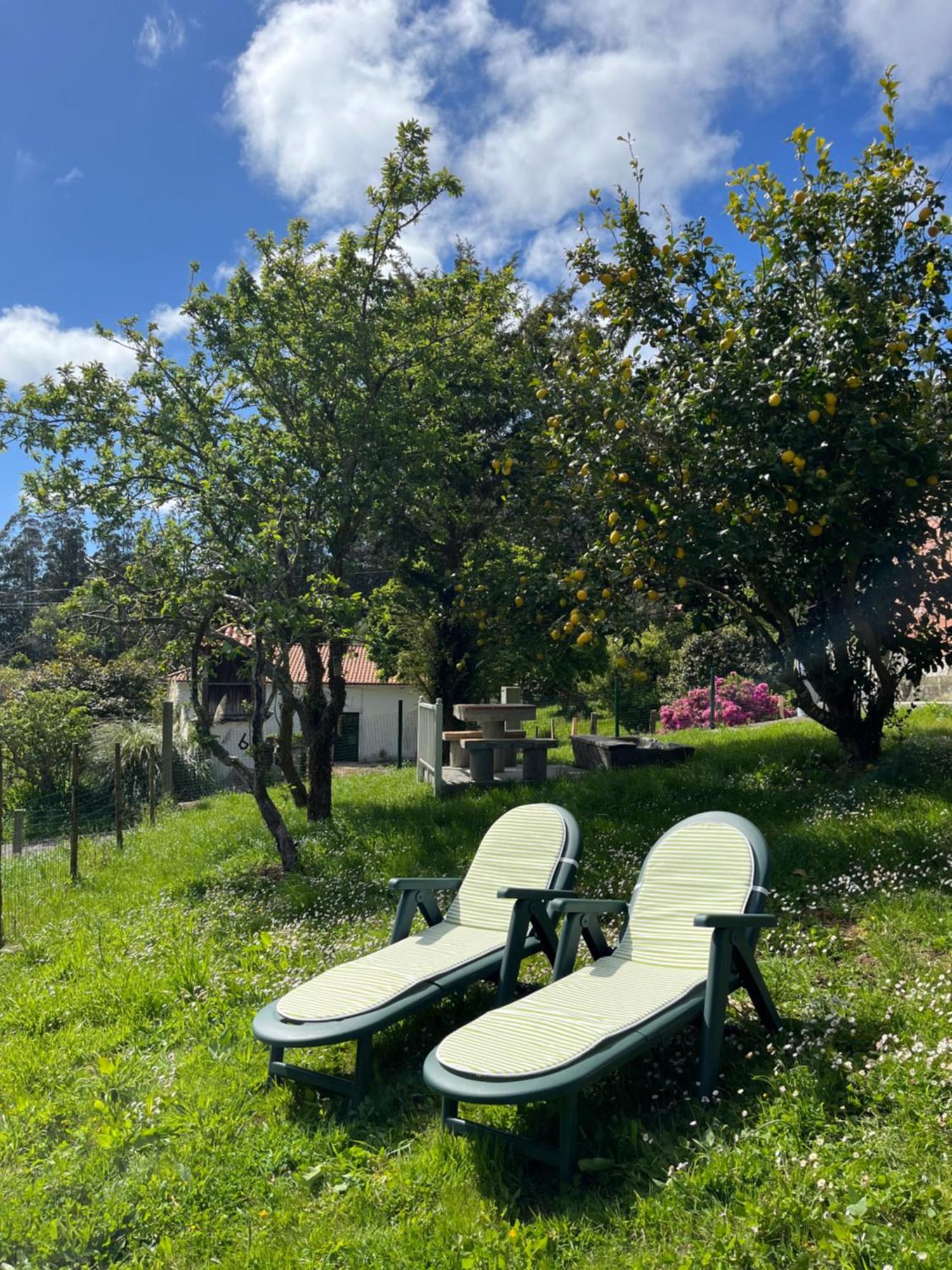 Casa Marina Villa San Martín Dış mekan fotoğraf