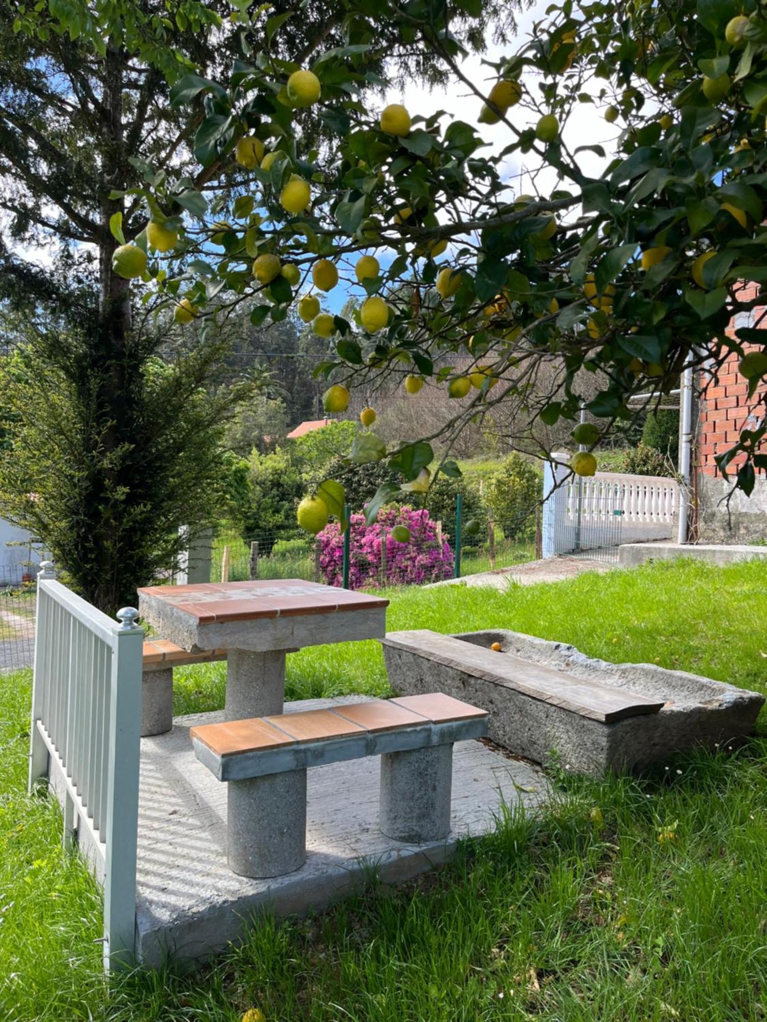 Casa Marina Villa San Martín Dış mekan fotoğraf