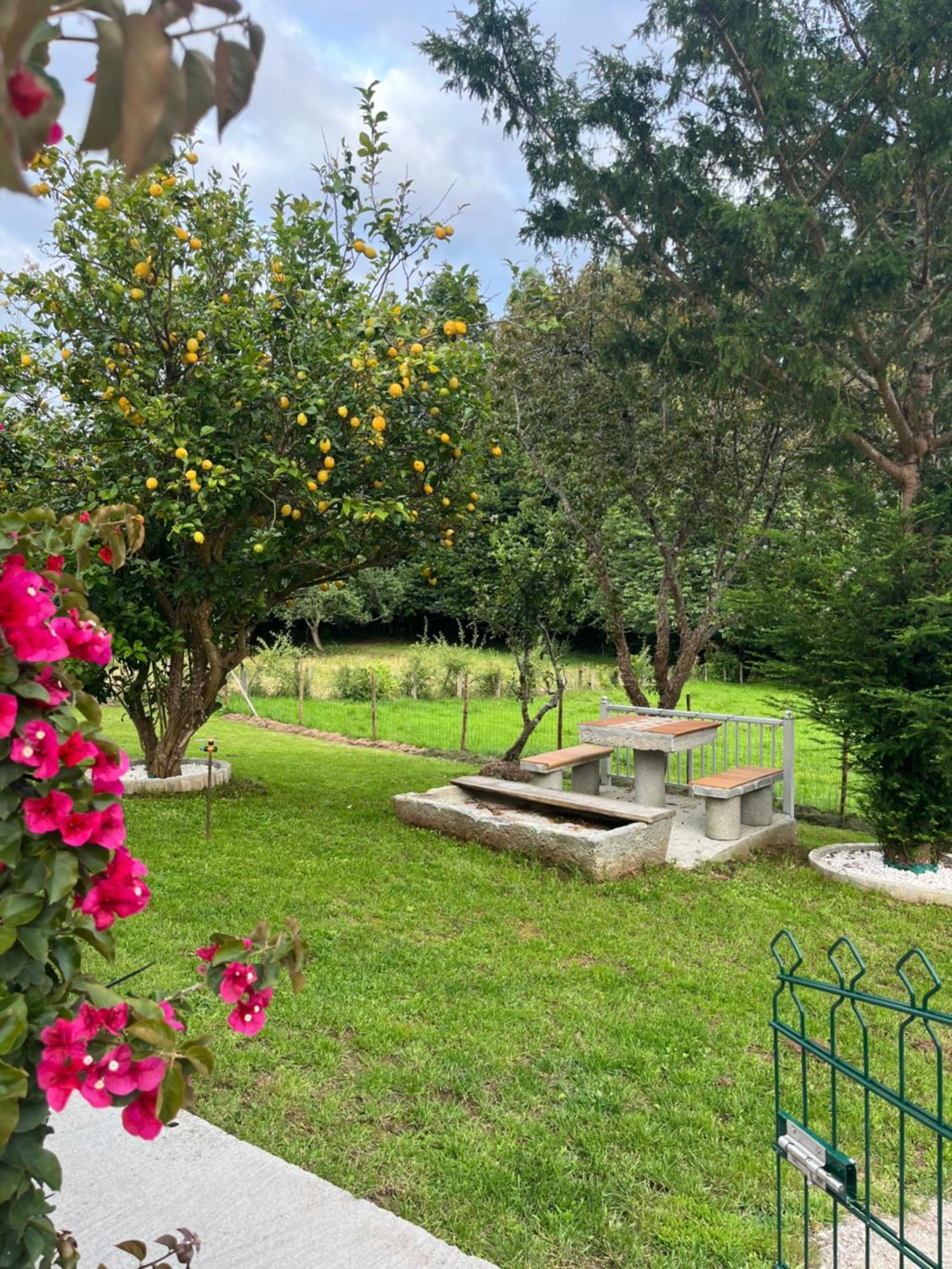 Casa Marina Villa San Martín Dış mekan fotoğraf